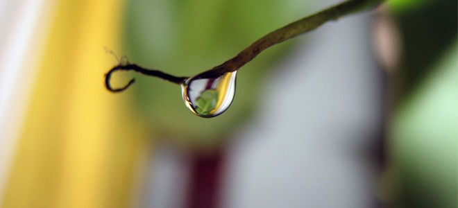 Image from site - http://www.drupaldeveloper.es